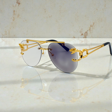 Aviator Cheetah Transition