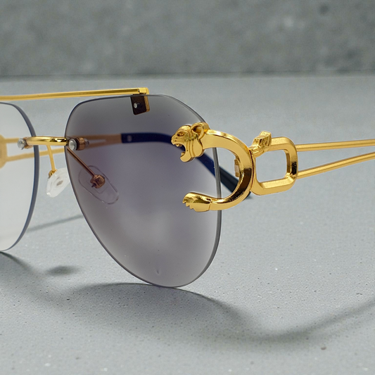 Aviator Cheetah Transition